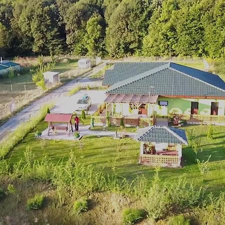 Agropensiunea Valea Fagilor Luncavita Kültér fotó
