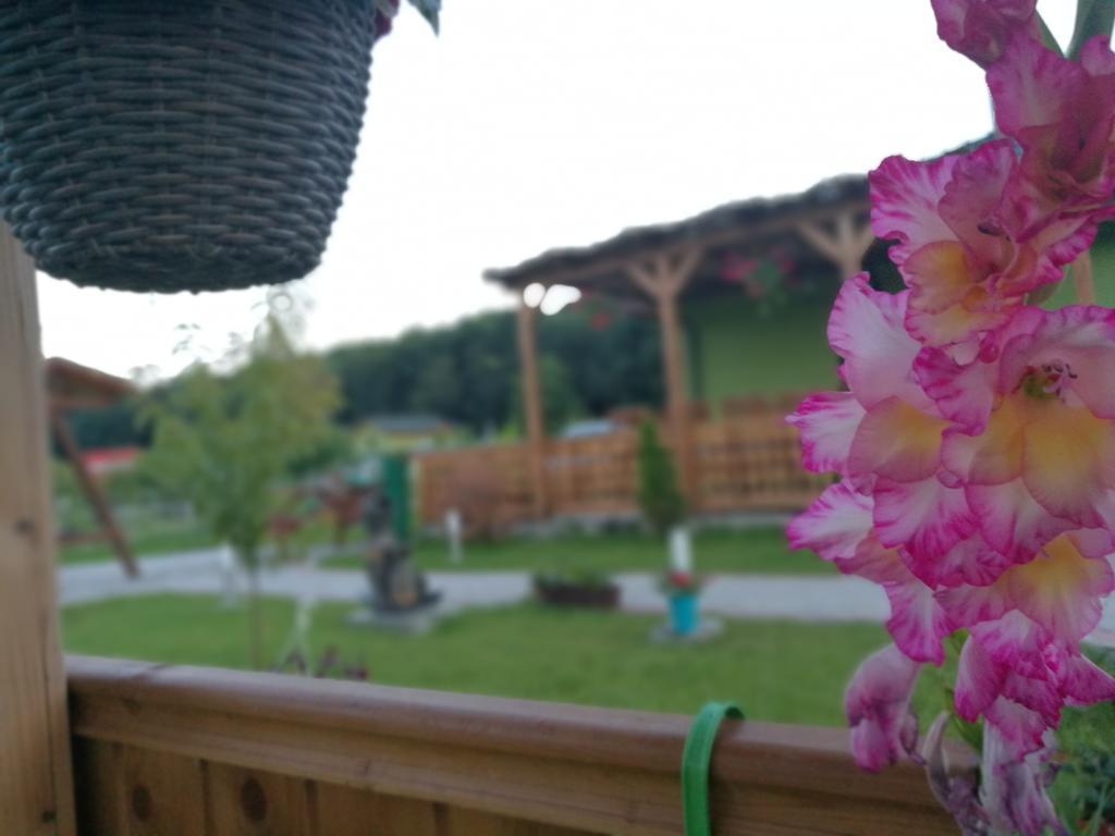 Agropensiunea Valea Fagilor Luncavita Kültér fotó