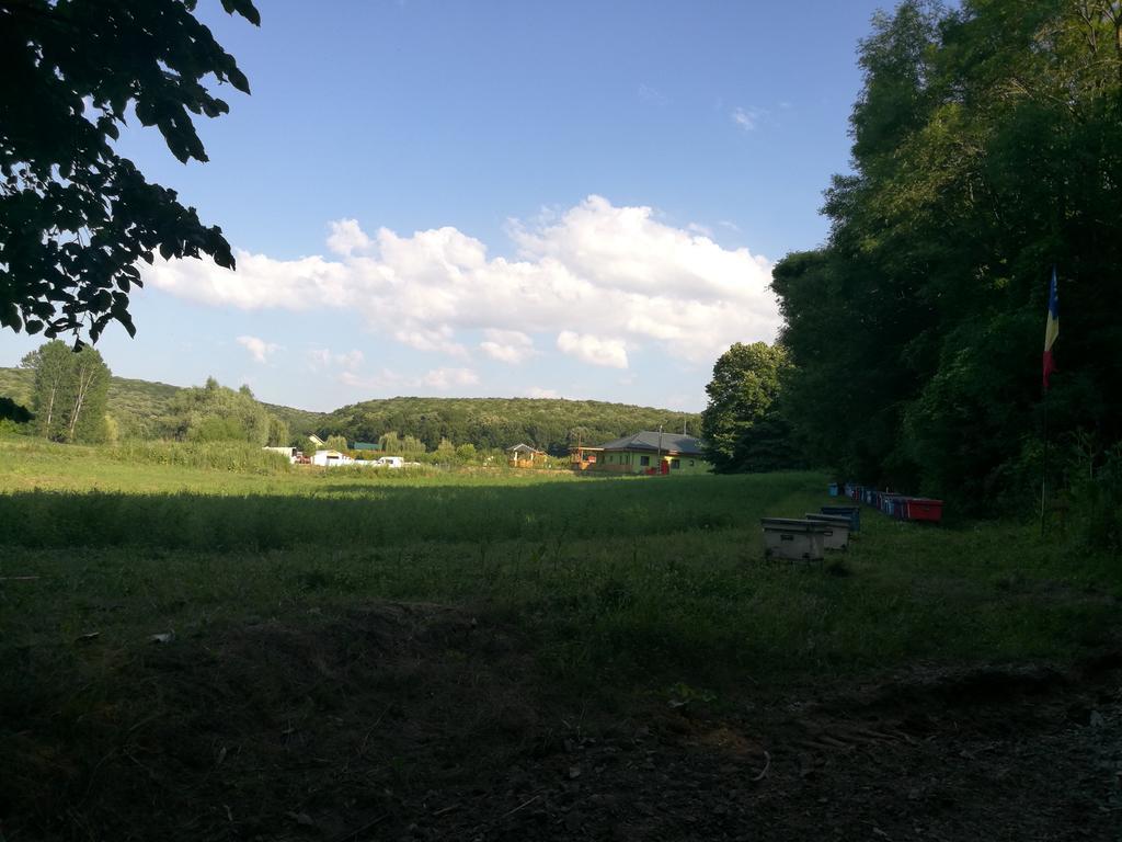 Agropensiunea Valea Fagilor Luncavita Kültér fotó
